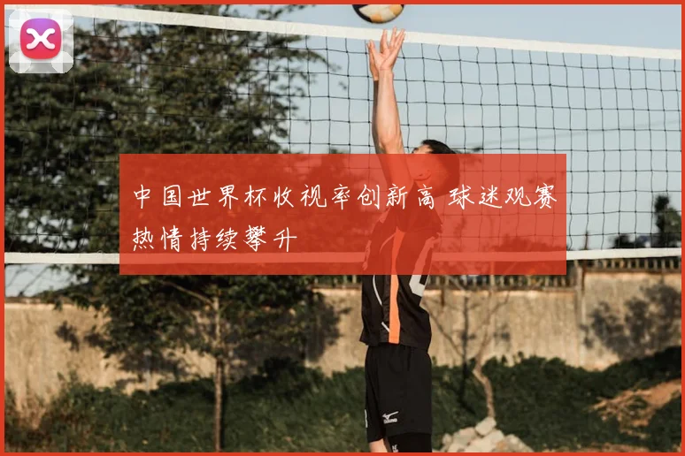 中国世界杯收视率创新高 球迷观赛热情持续攀升